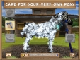 Pony Trails Screenshot 2