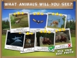 Pony Trails Screenshot 4