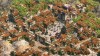 Age 2 DE screenshot 9