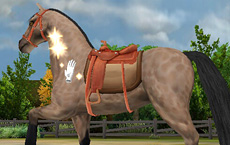 Pony Friends 2